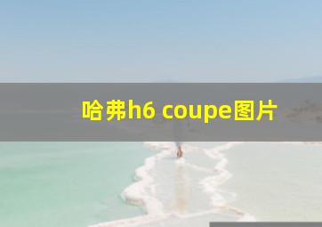 哈弗h6 coupe图片